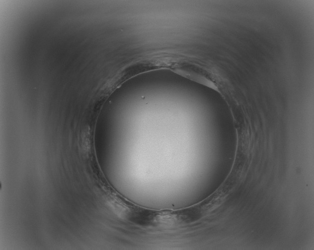 X0000067930413200604201501