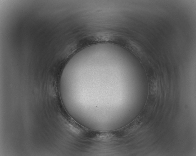 X0000067930414200604201501