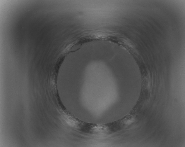 X0000067930415200604201501