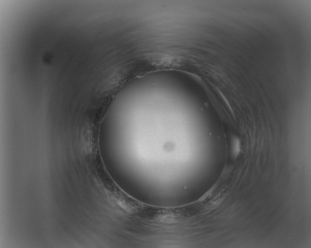 X0000067930416200604201501