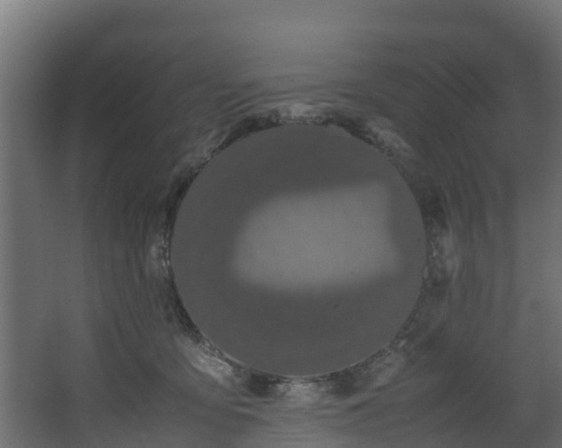 X0000067930419200604201501