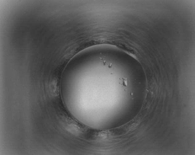 X0000067930420200604201501