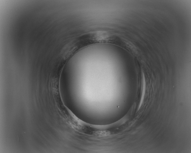 X0000067930421200604201501