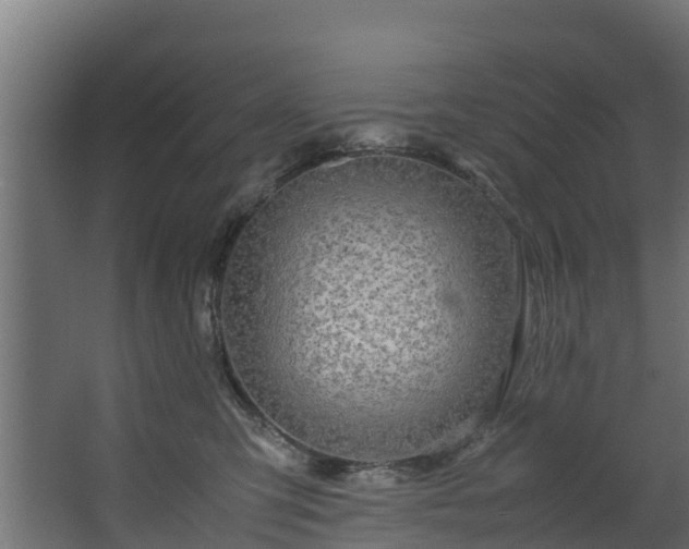 X0000067930423200604201501