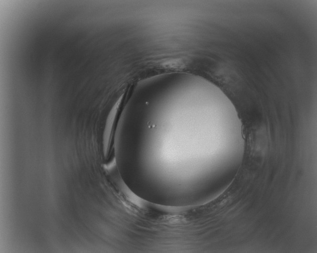 X0000067930424200604201501