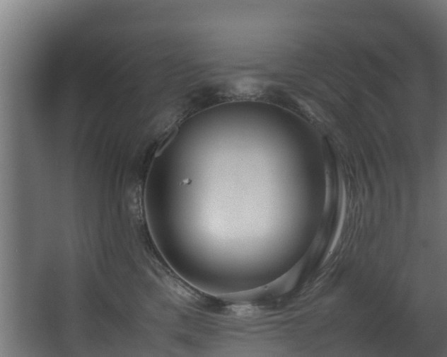 X0000067930425200604201501