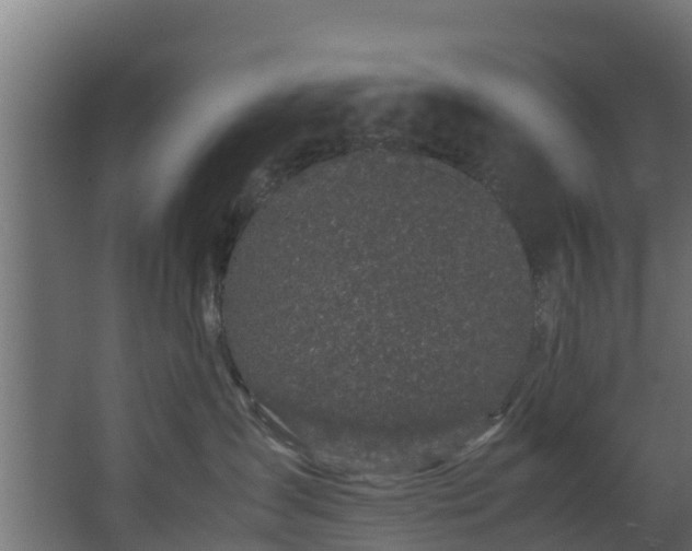 X0000067930431200604201501