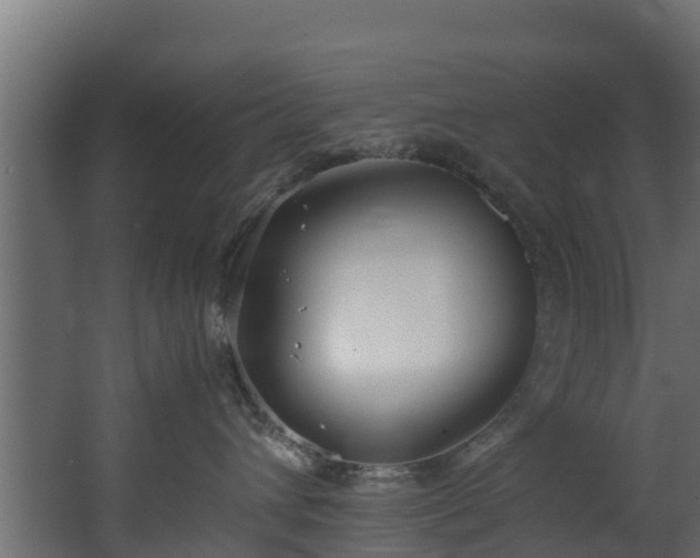 X0000067930432200604201501