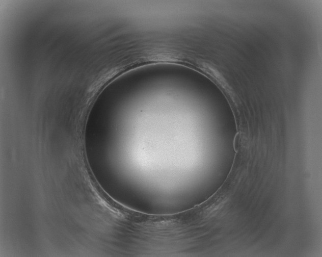 X0000067930433200604201500