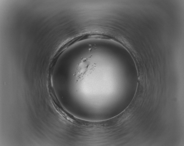 X0000067930434200604201500