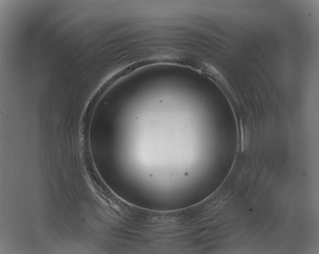 X0000067930435200604201500