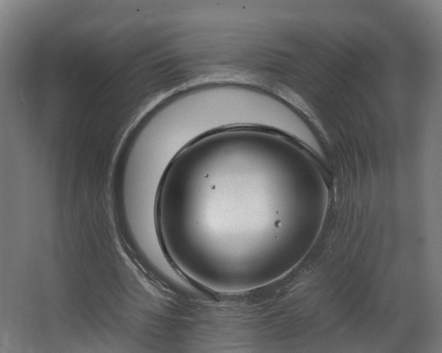 X0000067930436200604201500