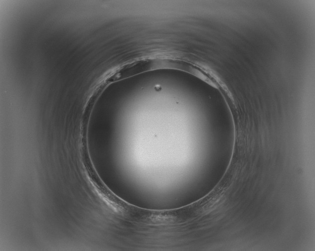 X0000067930437200604201500