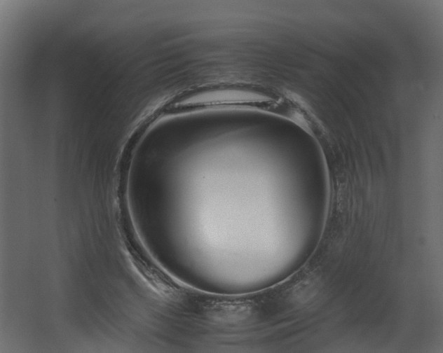 X0000067930443200604201500