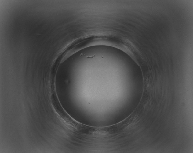 X0000067930444200604201500