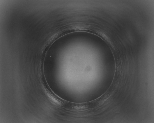 X0000067930445200604201500