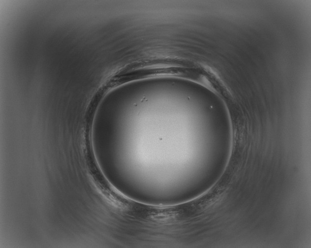 X0000067930447200604201500