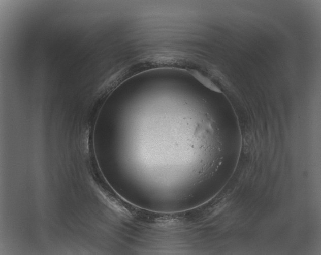 X0000067930454200604201500