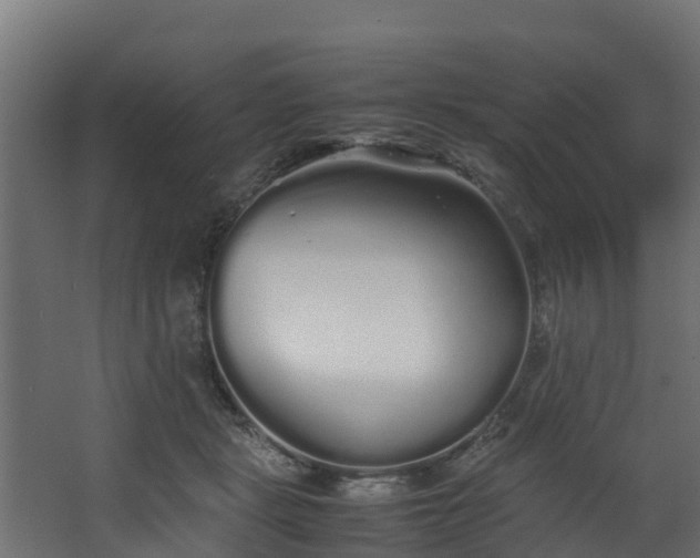 X0000067930461200604201500