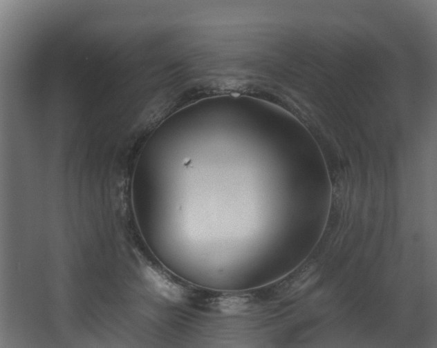 X0000067930462200604201501