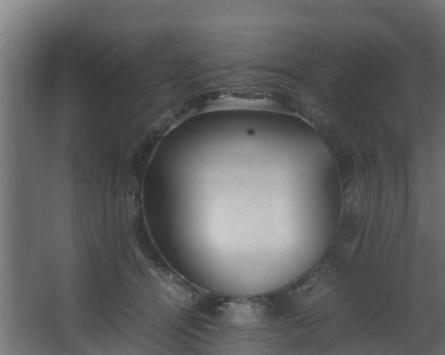 X0000067930464200604201501