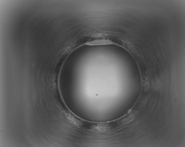 X0000067930466200604201501