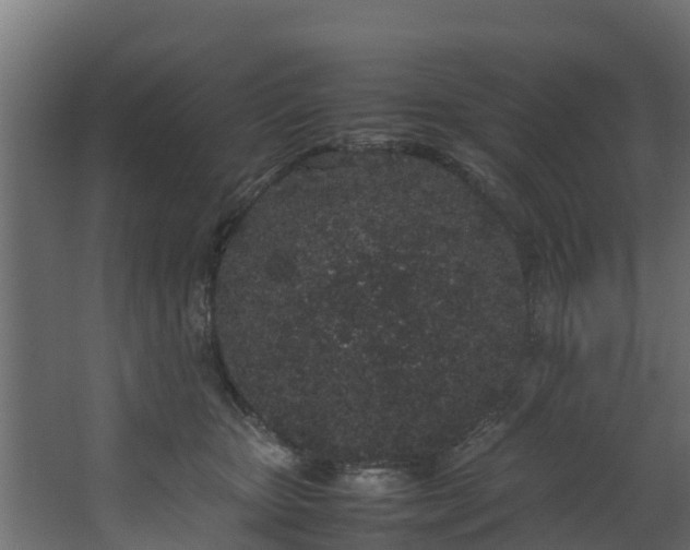 X0000067930467200604201501