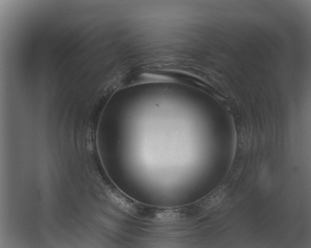 X0000067930470200604201501