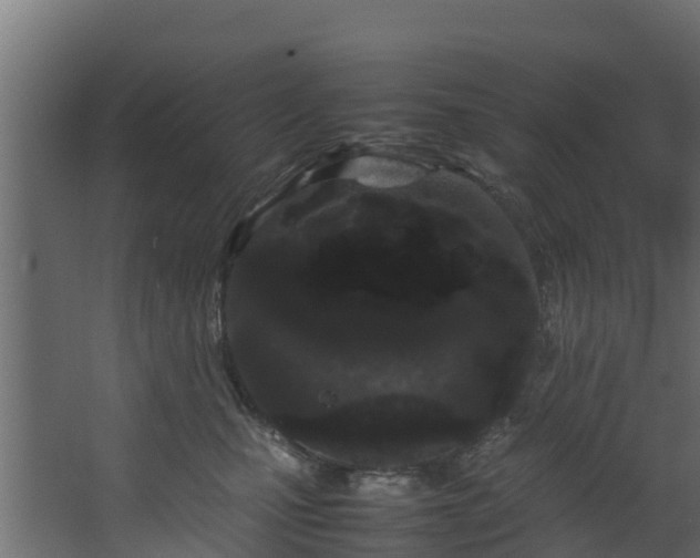 X0000067930471200604201501