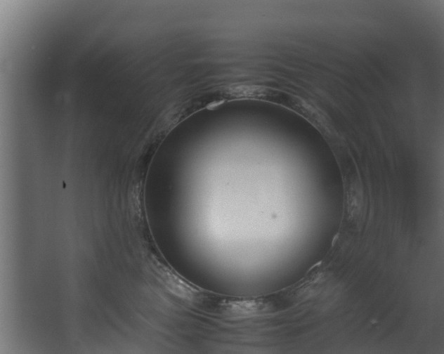 X0000067930473200604201501