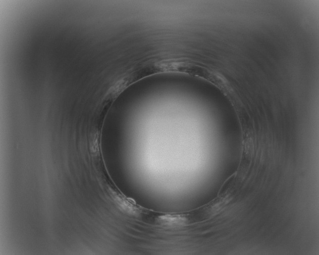 X0000067930477200604201501