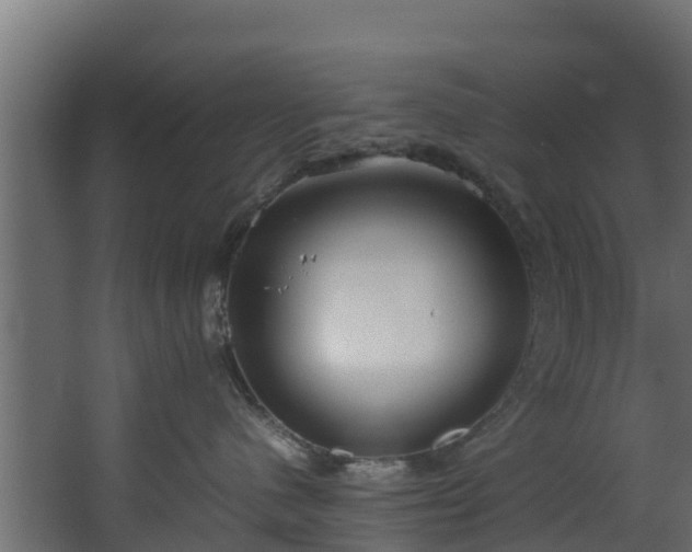 X0000067930480200604201501