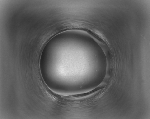 X0000067930481200604201500