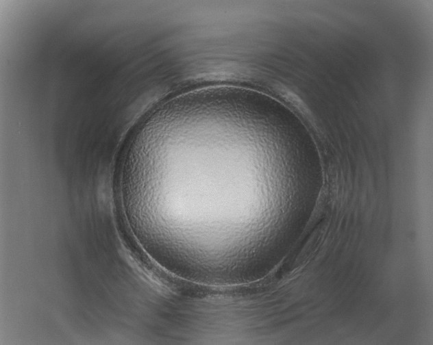 X0000067930482200604201500