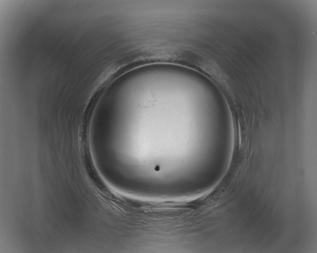 X0000067930483200604201500