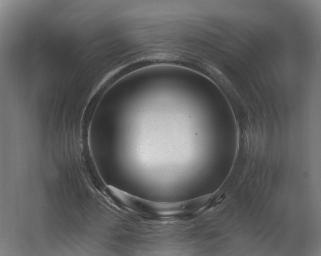 X0000067930484200604201500