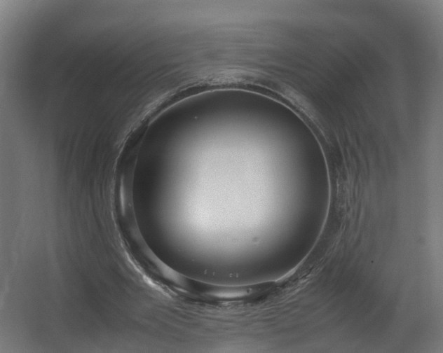 X0000067930485200604201500