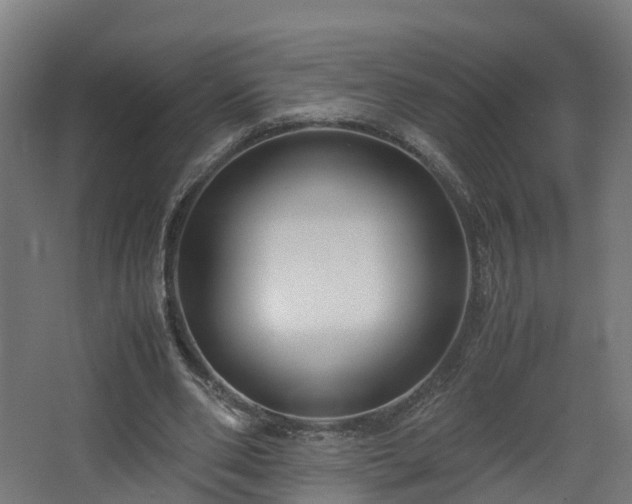 X0000067930486200604201500