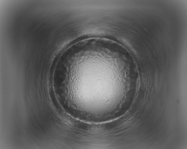 X0000067930487200604201500