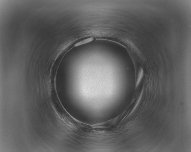 X0000067930488200604201500