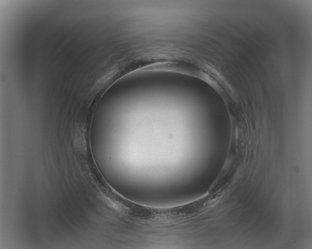 X0000067930489200604201500