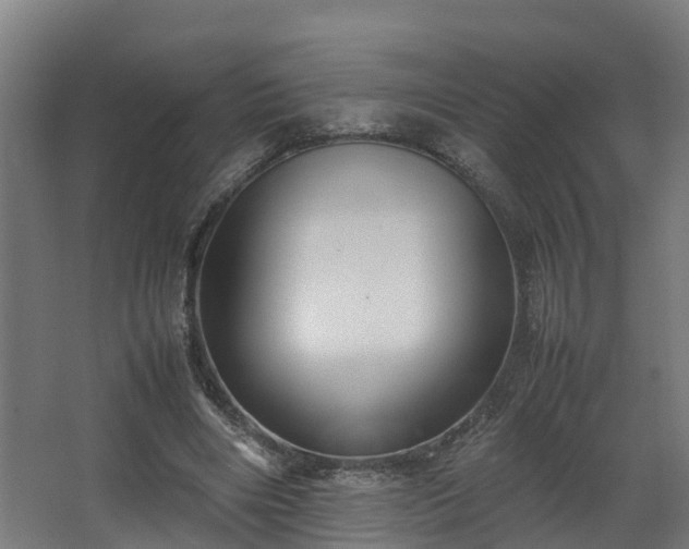 X0000067930490200604201500