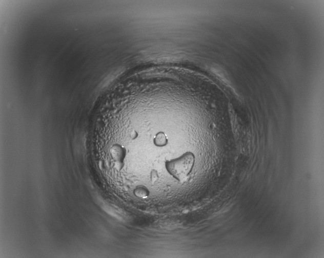 X0000067930491200604201500