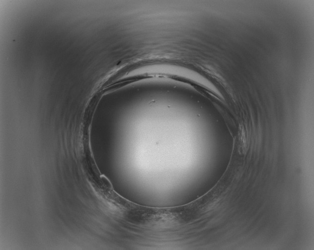 X0000067930492200604201500