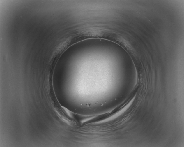 X0000067930493200604201500