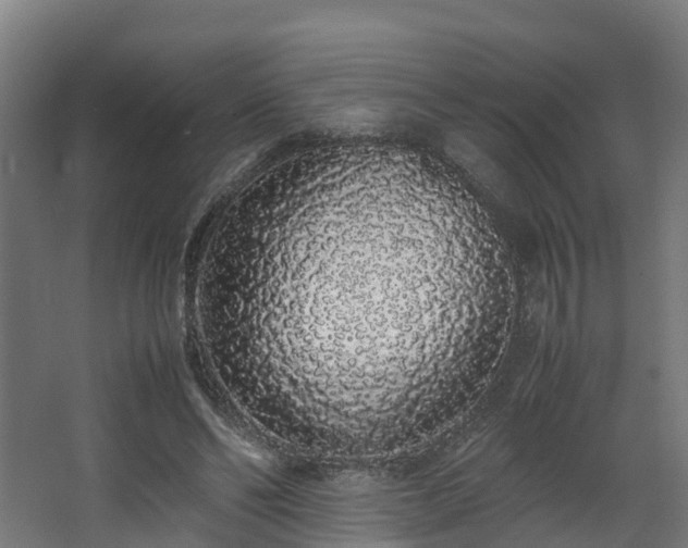 X0000067930494200604201500