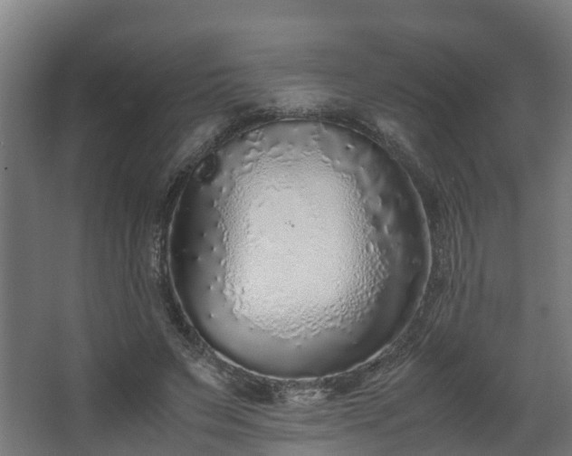 X0000067930495200604201500