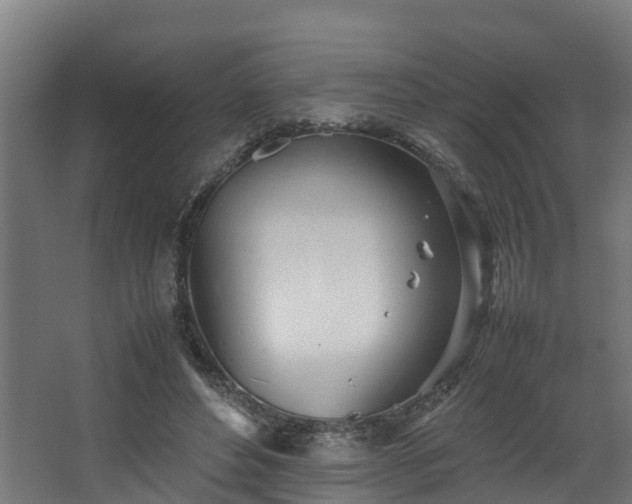 X0000067930496200604201500