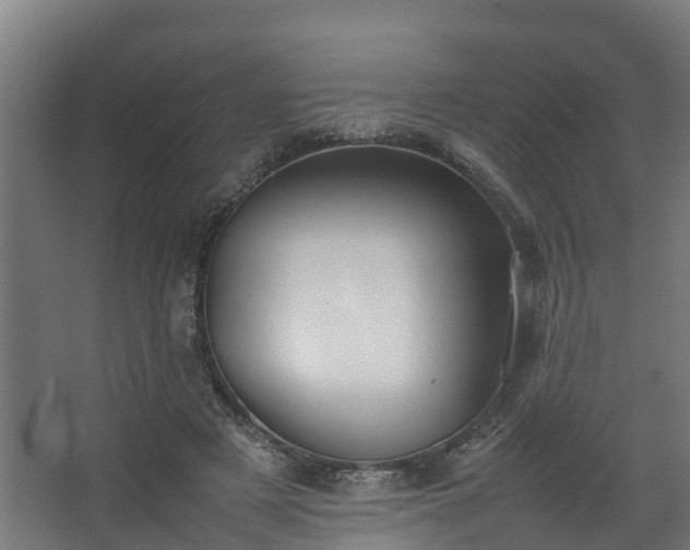 X0000067930497200604201500