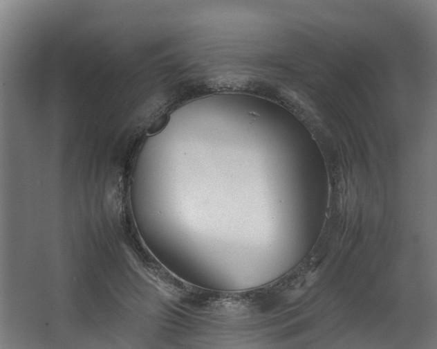 X0000067930498200604201500